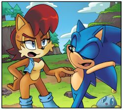 1boy 1girl anger_vein angiethecat animal_ears blue_boots blue_eyes blue_fur blue_jacket blue_sky boots border brown_fur brown_hair chao_(sonic) chipmunk_ears chipmunk_girl cloud cropped_jacket day furry furry_female furry_male grass green_eyes highres jacket looking_at_another one_eye_closed open_clothes open_jacket open_mouth outdoors outside_border poking sally_acorn sky sleeveless sleeveless_jacket sonic_(series) sonic_the_hedgehog tail white_border