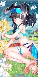 Rule 34 | 1girl, absurdres, aiu ., animal ears, barefoot, black hair, blue archive, blue eyes, breasts, cheerleader, dirty, dirty feet, dog ears, dog girl, dog tail, extra ears, eyewear on head, feet, full body, halo, hibiki (blue archive), hibiki (cheer squad) (blue archive), highres, holding, holding pom poms, lying, md5 mismatch, medium breasts, miniskirt, official alternate costume, on grass, on side, open mouth, pleated skirt, pom pom (cheerleading), pom poms, shoes, short hair, side slit, skirt, sneakers, soles, solo, sports bra, tail, toes, unworn shoes, white shoes, yellow halo