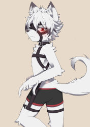 1boy black_shorts blush closed_mouth embarrassed from_side furry furry_male highres holster looking_at_viewer male_focus muzzle_(mask) red_eyes ruka_(nyucs) short_hair shorts simple_background solo von_lycaon white_hair wolf_boy zenless_zone_zero