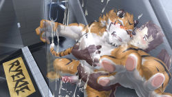2boys aftersex animal_ears bara behind_another beige_fur blush breath brown_fur completely_nude couple cum cum_on_body cum_on_male cum_on_pectorals cum_string dog_boy dog_ears dog_tail erection excessive_cum facial_hair foot_out_of_frame foreshortening furry furry_male furry_with_furry goatee groping highres large_pectorals live_a_hero male_focus male_protagonist_(live_a_hero) male_pubic_hair mature_male multiple_boys muscular muscular_male nipples no_mask nude orange_fur pectoral_grab pectorals penis pubic_hair ryekie_(live_a_hero) short_hair skarltano stomach tail thick_eyebrows tiger_boy tiger_ears tiger_tail tongue tongue_out uncensored yaoi