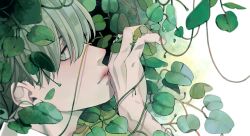 Rule 34 | 1boy, green theme, grey eyes, grey hair, hand up, ikkaf sk, leaf, male focus, original, plant, portrait, profile, short hair, solo, vines