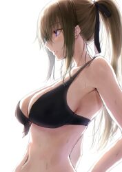 1girl artist_request breasts brown_hair character_request from_side highres large_breasts ponytail purple_eyes simple_background suien tagme