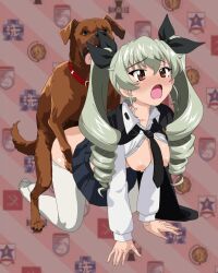 1boy 1girl ahegao anchovy_(girls_und_panzer) animal_ears animated animated_gif ass bestiality breasts breasts_out clothed_sex dog dog_ears doggystyle girls_und_panzer green_hair long_hair looking_at_viewer medium_breasts nipples open_mouth sex sex_from_behind tongue tongue_out twintails