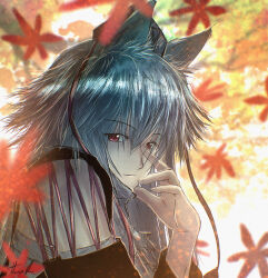 Rule 34 | 1girl, absurdres, animal ear fluff, animal ears, artistic error, autumn, black skirt, bloom, detached sleeves, from side, grey hair, hand on own face, hat, highres, inubashiri momiji, leaf, looking at viewer, maple leaf, oubachiago, parted lips, pom pom (clothes), portrait, red eyes, red hat, shirt, short hair, signature, skirt, sleeveless, sleeveless shirt, solo, tokin hat, touhou, turtleneck, two-tone skirt, white shirt, wolf ears, wrong hand