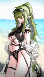 1girl arknights beach bikini black_bikini breasts cleavage cowboy_shot crocodile_girl crocodilian_tail day gavial_(arknights) green_hair han_ma53 high_ponytail highres large_breasts long_hair looking_at_viewer ocean official_alternate_costume pointy_ears ponytail solo stomach swimsuit tail thigh_strap thighs underboob yellow_eyes
