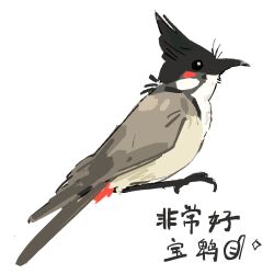 Rule 34 | animal focus, beak, bird, bird request, chinese commentary, chinese text, commentary request, from side, no humans, original, simple background, solo, translation request, white background, zhanghemankong