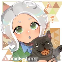 ! 1girl :o animal artist_name blue_shirt collared_shirt commission cookie dog food green_eyes green_sweater grey_hair grey_tongue holding holding_animal holding_dog looking_at_viewer medium_hair mihuashi_logo nintendo notice_lines octoling octoling_girl octoling_player_character open_mouth pabuk5w parted_bangs portrait shirt solo splatoon_(series) sweater tentacle_hair watermark