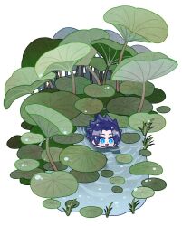 105zz 1boy black_hair blue_eyes blush crisis_core_final_fantasy_vii final_fantasy final_fantasy_vii highres male_focus nature open_mouth outdoors parted_bangs partially_submerged plant pond short_hair solo spiked_hair water wet wet_hair white_background zack_fair