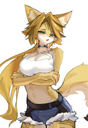 1girl absurdres alternate_hair_length alternate_hairstyle animal_ears arm_under_breasts belt black_belt black_choker blue_shorts breasts cat_ears cat_girl cat_tail choker cleavage crossed_arms fang furry furry_female green_eyes highres large_breasts long_hair open_mouth parted_bangs ponytail pulchra_fellini shorts sjtx2532 skin_fang tail very_long_hair zenless_zone_zero