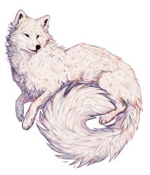 animal animal_focus arctic_fox closed_eyes fluffy fox giulialibard highres no_humans original realistic simple_background smile solo white_background white_fur