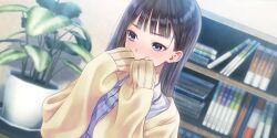 Rule 34 | 1girl, averting eyes, black hair, blue eyes, blue reflection (series), blue reflection sun, blush, book, bookshelf, dutch angle, game cg, hands on own face, highres, indoors, jacket, kishida mel, long hair, long sleeves, non-web source, official art, open clothes, open jacket, plant, potted plant, shirt, sleeves past wrists, solo, straight hair, upper body, white shirt, xiao meiqi, yellow jacket