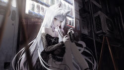 1girl animal_ears bare_shoulders black_dress can cat_ears cat_girl cat_tail collarbone commission dress english_text holding holding_can long_hair looking_at_viewer multicolored_hair open_mouth original purple_hair sho_(sho_oe4) sitting skeb_commission solo tail teeth thighhighs thighs two-tone_hair upper_teeth_only vending_machine white_hair
