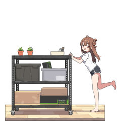 Rule 34 | 1girl, :d, black shorts, blush, brown eyes, brown hair, dolphin shorts, double bun, hair bun, hatsunatsu, long hair, looking at viewer, looking to the side, open mouth, original, plant, potted plant, shirt, short shorts, short sleeves, shorts, simple background, smile, solo, two side up, walking, white background, white shirt, wooden floor