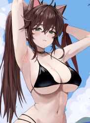 Rule 34 | 1girl, absurdres, ahoge, animal ears, armpits, arms behind head, arms up, bare shoulders, bikini, black bikini, breasts, brown hair, choker, cleavage, closed mouth, expressionless, extra ears, green eyes, halterneck, highres, horns, large breasts, long hair, looking at viewer, mole, mole on breast, multi-strapped bikini bottom, navel, original, ponytail, red choker, solo, stomach, strap gap, string bikini, swimsuit, upper body, van mao, wet