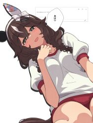 1girl blush brown_eyes brown_hair buruma curren_bouquetd&#039;or_(umamusume) gym_shirt gym_uniform hair_between_eyes highres horse_girl looking_at_viewer multicolored_hair open_mouth red_buruma shirt solo speech_bubble streaked_hair translation_request umamusume wa_(wamizest7) white_shirt