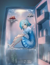 1girl barefoot blue_bow blue_dress blue_eyes blue_hair blush boned_meat bottle bow cirno commentary_request dress female_focus fog food full_body hair_between_eyes hair_bow ice ice_wings in_container in_refrigerator knees_up looking_at_viewer meat puffy_short_sleeves puffy_sleeves refrigerator roke_(taikodon) short_hair short_sleeves sitting sketch smile solo touhou wings