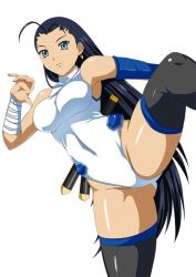 ikkitousen kakouen_myousai tagme