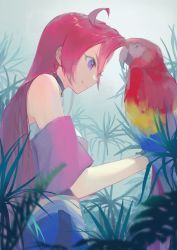 1girl baicha_oqqa bird black_choker blurry blurry_foreground choker closed_mouth eyelashes from_below from_side indoors long_hair macaw parrot precure purple_eyes red_hair scarlet_macaw smile solo standing takizawa_asuka tropical-rouge!_precure very_long_hair