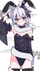 1boy absurdres ahoge androgynous animal_ears bare_shoulders black_leotard black_thighhighs blush cevio ci_flower closed_mouth collar collarbone cowboy_shot detached_sleeves fake_animal_ears flower_(vocaloid) gluteal_fold hair_between_eyes highres leotard looking_at_viewer male_focus multicolored_hair noir_(noire6959) playboy_bunny purple_eyes rabbit_ears rabbit_tail short_hair snake solo standing strapless strapless_leotard streaked_hair tail thighhighs vocaloid white_hair wrist_cuffs