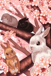 animal animal_focus artist_name branch brown_eyes cherry_blossoms closed_eyes flower honto_pic in_tree no_humans open_mouth original outdoors pink_background pink_flower rabbit tree