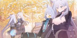 Rule 34 | 4girls, animal ears, bench, black choker, black dress, black gloves, black jacket, blue archive, blue eyes, blue halo, blue necktie, blue scarf, breasts, bright pupils, choker, cleavage, closed mouth, commentary, cross hair ornament, dress, extra ears, gloves, hair ornament, halo, head wings, highres, jacket, kaerunrun, konoka (blue archive), large breasts, long hair, long sleeves, mismatched pupils, multiple girls, necktie, on bench, outdoors, park bench, parted lips, pink halo, scarf, school uniform, shiroko (blue archive), shiroko terror (blue archive), shirt, short hair, single head wing, sitting, suzumi (blue archive), white pupils, white shirt, wings, wolf ears, wolf girl