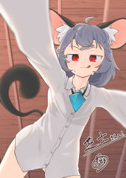 1girl :q absurdres ahoge animal_ear_fluff animal_ears assertive_female blush closed_mouth commentary_request commission cowboy_shot crystal from_below girl_on_top greenpiecerice grey_hair highres jewelry kabedon_on_viewer long_sleeves looking_at_viewer mouse_ears mouse_girl mouse_tail naked_shirt nazrin necklace pendant pinned red_eyes shirt short_hair skeb_commission smile solo tail tongue tongue_out touhou white_shirt wooden_ceiling