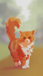 Rule 34 | animal, animal focus, blurry, blurry background, cat, character request, commentary, fluffy, highres, looking at viewer, minamia23, no humans, orange cat, orange eyes, solo, standing, tail, warrior cats, whiskers
