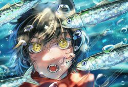 1girl air_bubble alt_text animal_ears black_hair blurry bubble cat_ears cat_girl depth_of_field dungeon_meshi fangs fish hair_between_eyes highres izutsumi light_blush looking_at_animal open_mouth portrait red_scarf sasakura34 scarf short_hair solo sparkling_eyes star_(symbol) teeth underwater yellow_eyes