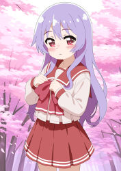 1girl blush cherry_blossoms himekawa_kotone long_hair mizusaki_johnko outdoors pink_shirt pleated_skirt purple_hair red_eyes red_skirt sailor_collar school_uniform serafuku shirt skirt solo to_heart to_heart_(series) tree
