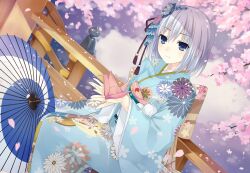 Rule 34 | 1girl, blue eyes, blue kimono, cherry blossoms, date a live, date a live: spirit pledge, dutch angle, falling petals, floral print, flower, game cg, hair flower, hair ornament, japanese clothes, kimono, long sleeves, official art, origami, outdoors, petals, short hair, smile, solo, third-party source, tobiichi origami, white hair, wide sleeves