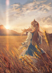 1girl absurdres amulet animal_ears atmospheric_perspective blue_dress blurry brown_hair brown_tail cloud commentary depth_of_field dress english_commentary highres holo light_rays long_hair looking_at_viewer looking_back mountain mountainous_horizon nature nori_cent outdoors pouch sky solo spice_and_wolf standing star_and_crescent sunbeam sunlight sunset tail wheat wheat_field wolf wolf_ears wolf_girl wolf_tail