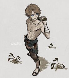 1boy absurdres bandaged_arm bandages black_sandals blue_eyes brown_hair brown_pants closed_mouth commentary earrings english_commentary facial_scar hand_on_own_hip highres holding isa-415810 jewelry link male_focus nintendo pants plant pointy_ears sandals scar scar_on_arm scar_on_cheek scar_on_face simple_background solo standing the_legend_of_zelda the_legend_of_zelda:_twilight_princess topless_male twitter_username