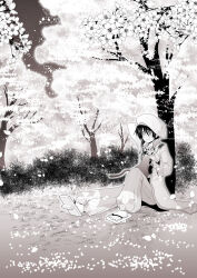 beret black_hair cat hakama hat japanese_clothes kimono monochrome petals platform_sandals sandals sengoku_musou sitting smile takenaka_hanbei tree