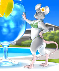 1girl animal_feet bikini blue_eyes blue_hawaii body_fur claws commentary_request digitigrade facial_mark flower full_body furry furry_female green_bikini grey_fur grey_hair hair_flower hair_ornament house kikurage_(crayon_arts) looking_at_viewer mouse_girl one_eye_closed original outdoors pool short_hair solo standing swimsuit tail whisker_markings