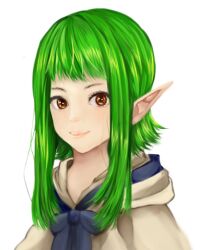 1girl blue_bow blue_bowtie bow bowtie brown_capelet brown_eyes capelet closed_mouth commentary_request green_hair long_hair looking_at_viewer meiko_(nattu303) pointy_ears ragnarok_online simple_background smile solo swordsman_(ragnarok_online) upper_body white_background