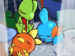 absurdres closed_eyes closed_mouth curtains drooling gen_3_pokemon highres lying mouth_drool mudkip nintendo oekakisulungo on_back on_stomach open_mouth pokemon pokemon_(creature) rug shadow signature sitting sleeping sleeping_together sleeping_upright star_(symbol) starter_pokemon_trio tagme torchic treecko twitter_username