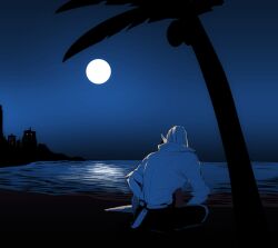1boy belt building clear_sky coconut_tree commentary_request fate/grand_order fate_(series) from_behind full_body full_moon horizon indian_style male_focus moon night night_sky ocean palm_tree sakata_kintoki_(fate) shiromako sitting sky solo tree