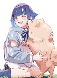 1girl arm_cutout blue_hair blue_hoodie blue_nails blue_socks blush choker dog drawstring gradient_hair grass grey_eyes hair_flaps highres hood hoodie licking licking_another&#039;s_face multicolored_hair one_eye_closed open_mouth overalls simple_background sitting socks teeth thigh_strap tied_drawstring tsubu_(kappunioyu562) tsumugi_kokage upper_teeth_only virtual_youtuber vspo! wariza water_drop_hair_ornament white_background white_overalls
