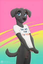 1boy absurdres aged_down black_fur blue_background blue_eyes bottomless child clothes_pull clothes_writing cowboy_shot dog_boy furry gradient_background highres looking_at_viewer male_focus original penis pink_background shirt shirt_pull smile solo tail testicles white_shirt yellow_background zaush