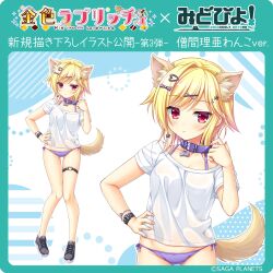 Rule 34 | 1girl, absurdres, animal collar, animal ear fluff, animal ears, bikini, bikini under clothes, black shoes, blonde hair, blush, breasts, closed mouth, collar, collarbone, colored eyelashes, commentary request, copyright notice, crescent, crescent hair ornament, cross-laced shoes, dog ears, dog girl, dog tail, eyelashes, fingerless gloves, flipped hair, full body, gloves, gluteal fold, hair ornament, hand on own hip, hand up, heart, heart hair ornament, heart o-ring, highres, htoin, kemonomimi mode, kin-iro loveriche, knees together feet apart, looking at viewer, medium breasts, medium hair, midriff, moribe (rabumanyo), multiple views, o-ring, o-ring thigh strap, official art, outline, purple bikini, red eyes, shiny skin, shirt, shoes, short sleeves, side-tie bikini bottom, sidelocks, simple background, single hair intake, sneakers, souma ria, standing, star (symbol), star hair ornament, swept bangs, swimsuit, t-shirt, tail, thigh strap, watch, white background, white outline, white shirt, wristwatch, x hair ornament