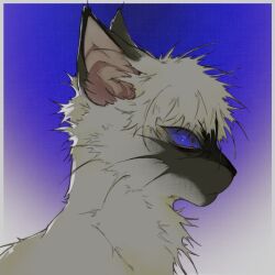 Rule 34 | animal, animal focus, blue eyes, body fur, border, brown fur, cat, from side, gradient background, no humans, original, portrait, solo, two-tone fur, warrior cats, white border, wxlfpatch