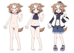 &gt;_&lt; 1girl :3 akou_roushi animal_ears arm_at_side bare_shoulders barefoot black_panties blush_stickers brown_eyes brown_hair cartoon_bone reference_sheet clenched_hand closed_mouth clothes_on_and_off colored_tips commentary_request completely_nude crop_top dog_ears dog_girl dog_tail fang fang_out fangs female_focus flat_chest full_body grey_shorts hood hooded_jacket inuishi_kururi_(akou_roushi) jacket loli midriff multicolored_hair navel nipples no_pussy nude open_clothes open_fly open_jacket open_mouth original panties pigeon-toed shoes short_hair shorts simple_background sleeveless sleeveless_turtleneck small_nipples smile socks standing tail tareme turtleneck two-tone_hair underwear v-shaped_eyebrows variations white_background white_hair white_socks