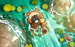 Rule 34 | animal focus, bidoof, buck teeth, closed eyes, ertdoesart, from above, gen 4 pokemon, lily pad, nintendo, no humans, partially submerged, pokemon, pokemon (creature), pokemon focus, pokemon tcg, rock, second-party source, solo, teeth, water
