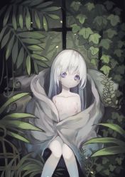 Rule 34 | absurdres, blanket, blue eyes, boiled sardines, foliage, highres, leaves, plant, sitting, vines, white hair, window