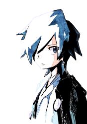 Rule 34 | 1boy, blue eyes, blue hair, creatures (company), falkner (pokemon), game freak, hair over one eye, highres, looking at viewer, male focus, mettaemon (czhx5855), nintendo, pokemon, pokemon hgss, simple background, solo, upper body, white background