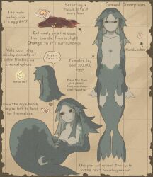 1girl animal blue_hair blue_skin brown_background claws colored_skin dilated_pupils egg english_text full_body gills grid_background highres long_hair looking_at_viewer mamaito mermaid monster_girl multiple_views original sea_angel seal_girl solo yellow_eyes