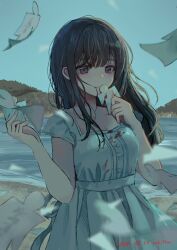 Rule 34 | 1girl, :|, back ribbon, beach, blood, blood on clothes, blue sky, breasts, brown hair, clear sky, cleavage, closed mouth, collarbone, cowboy shot, dated, day, dress, expressionless, floating, hands up, highres, holding puzzle piece, jigsaw puzzle, long bangs, long dress, long hair, looking at viewer, medium breasts, mountainous horizon, muted color, nanami yuki (yuki77mi), ocean, original, outdoors, puzzle, puzzle piece, red eyes, shore, short sleeves, sidelocks, signature, sky, solo, water, white dress, wind