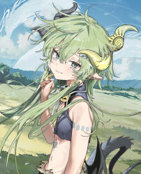 1girl asymmetrical_horns bare_shoulders black_horns black_wings body_markings breasts closed_mouth cloud crop_top day dragon earrings field grass green_hair hair_between_eyes highres horns jewelry long_hair looking_at_viewer low_wings multiple_horns original outdoors pointy_ears seeshin_see sky small_breasts solo tail wings yellow_horns