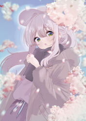 1girl apple-hkz baseball_cap black_scarf blue_archive blurry blurry_foreground cherry_blossoms commentary_request day green_eyes green_jacket grey_hair grey_hat grey_shorts hare_(blue_archive) hare_(camp)_(blue_archive) hat highres hood hood_down hoodie jacket long_hair long_sleeves looking_at_viewer official_alternate_costume open_clothes open_jacket open_mouth outdoors petals pink_petals ponytail scarf shorts signature solo upper_body white_hat