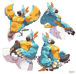 1boy abs artist_name bara beak bird_boy closed_eyes commentary english_commentary erection feather_hair_ornament feathers furry furry_male hair_ornament hand_wings highres kass looking_at_viewer male_focus multiple_views muscular muscular_male nintendo nipples nude open_mouth pectorals penis profile rito simple_background smile testicles the_legend_of_zelda the_legend_of_zelda:_breath_of_the_wild voviat white_background